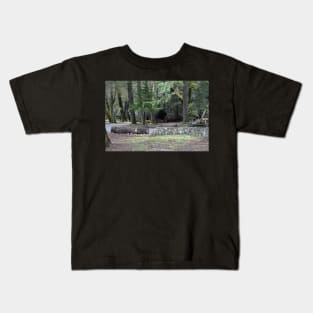 Fallen Coast Redwood Kids T-Shirt